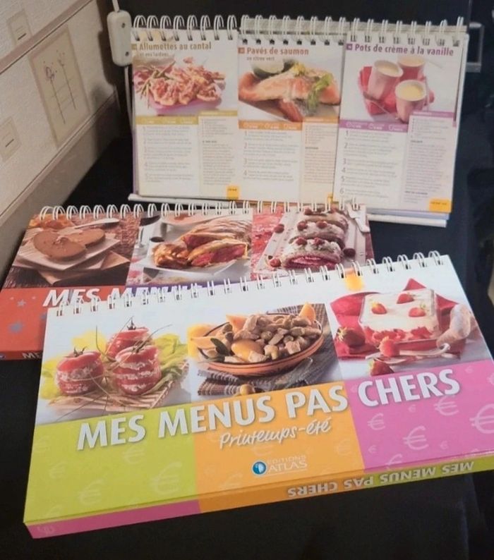 Livres fiches recettes