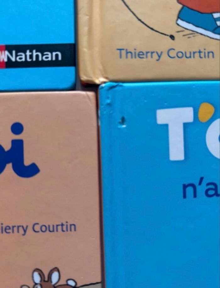 Livre T’choupi - photo numéro 2