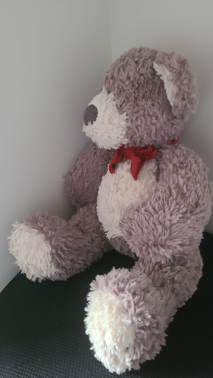 peluche ours - photo numéro 2