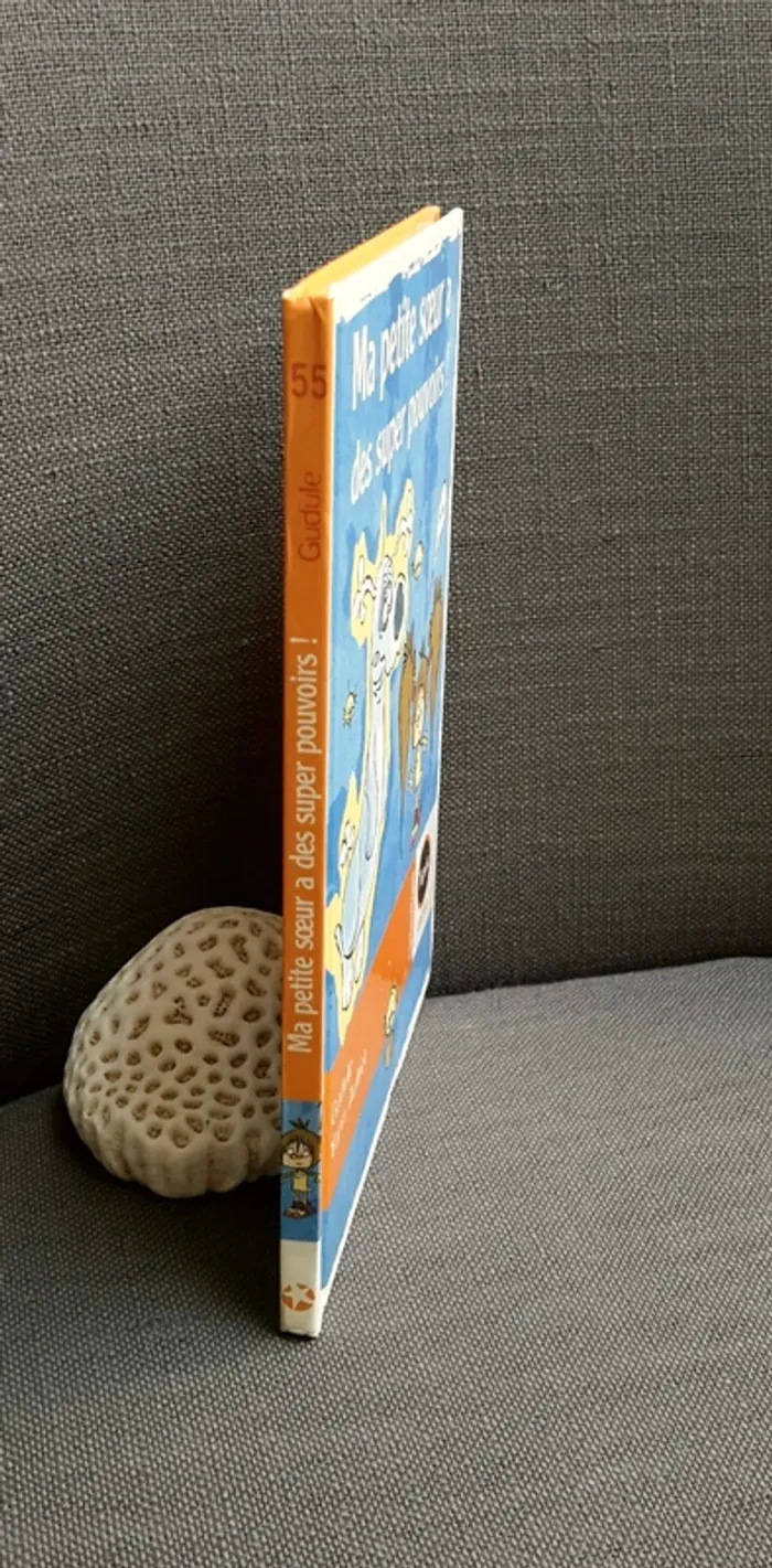 Livre Dès 7 ans : Ma Petite Sœur à des Super Pouvoirs - photo numéro 4