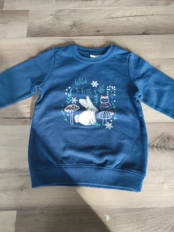 Pull lupilu 4 ans