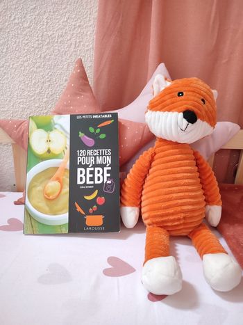 Livre "120 recettes pour mon bébé" - Bon état - De 5 mois à 3 ans.