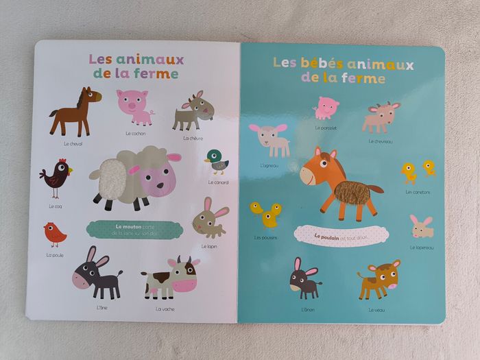 Livre Mes premiers mots à toucher Auzou - photo numéro 5