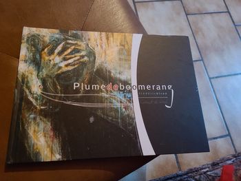 Plume de boomerang