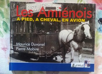 LES AMIENOIS T2 A PIED, A CHEVAL, EN AVION par M. DUVANEL et P. MABIRE Ed. Ema