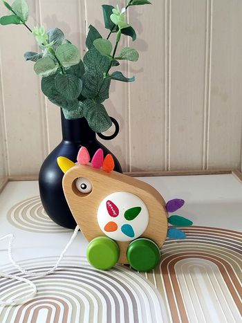 Janod Petite poule à promener Zigolos