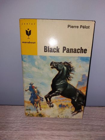 Livre de poche Black Panache
