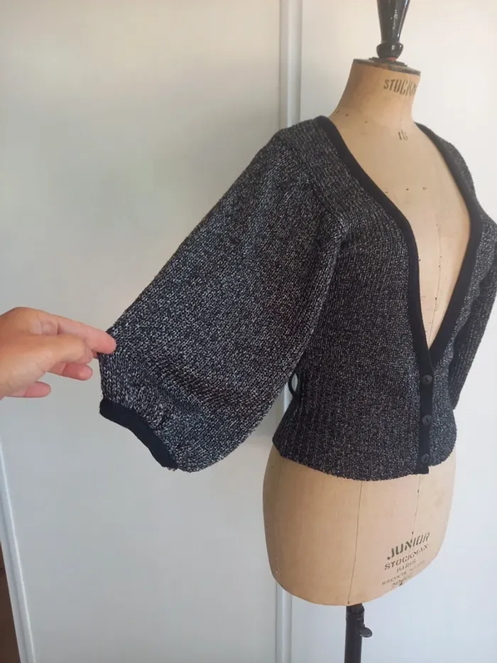 Magnifique petit gilet court manches bouffantes 3/4 - photo numéro 2