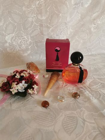 Far Away Paradise - Eau de Parfum 50 ml