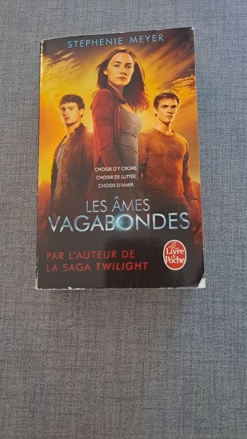 Livre les âmes vagabondes