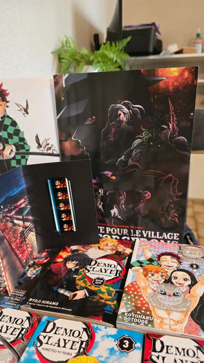 Vend collection complète demon slayer - photo numéro 7