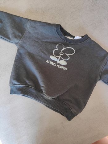 Pull Zara 12 mois