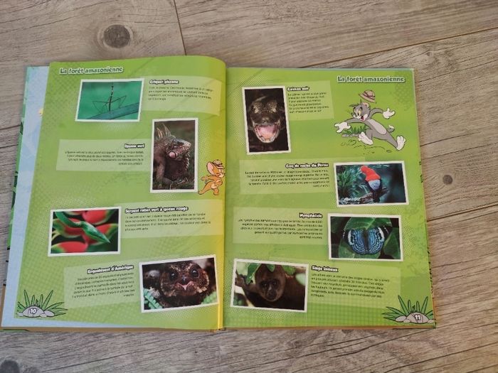 Coffret jungle mania - photo numéro 3