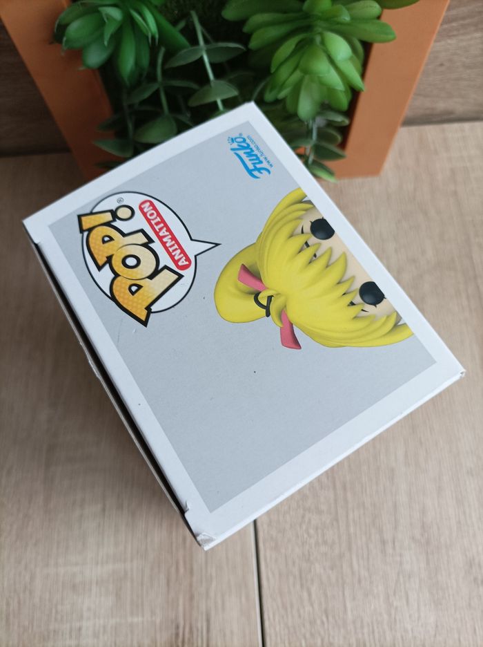 Figurine Bisky Hunter X Hunter Funko pop animation - photo numéro 4