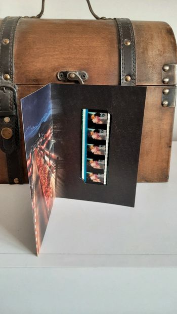 Pellicule Demon Slayer Zenitsu Tanjiro Inosuke manga