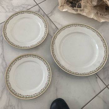 3 plats limoges