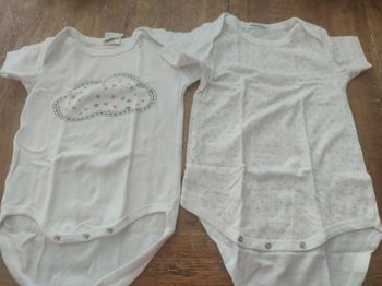Lot de 2 bodies 12 mois
