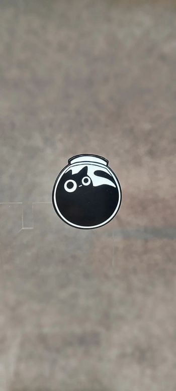 🍄 pin's chat dans un aquarium