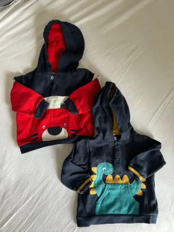Lot de deux sweat-shirt à capuche 18M