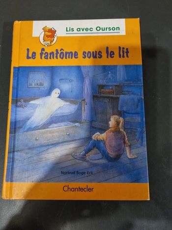 Livre le fantôme sous le lit