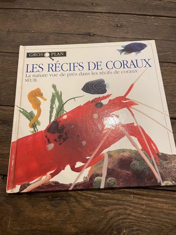 Livre documentaire gros plan les récifs de coraux