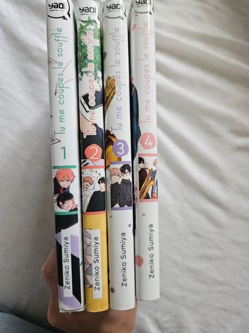Mangas yaoi