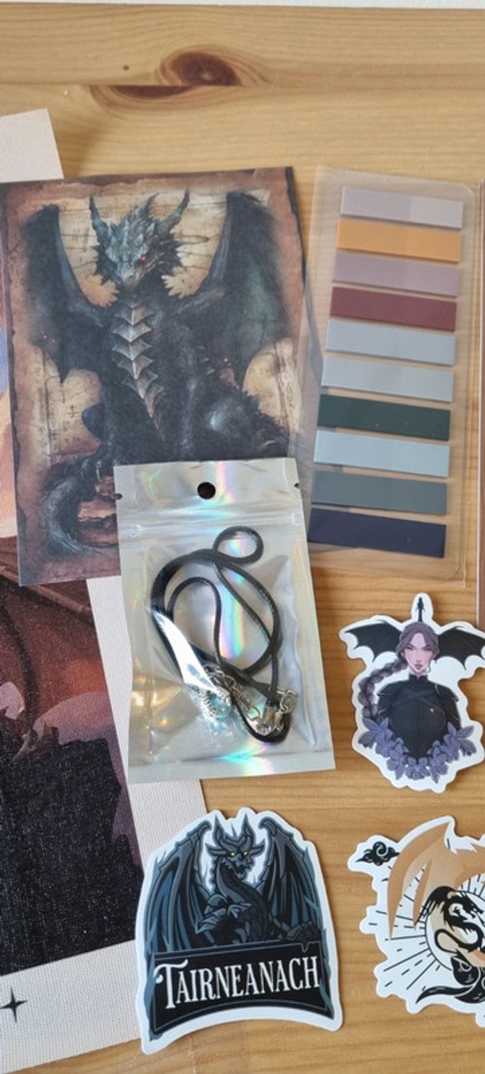 Fourth wing + Iron flame special eddition + Goodies - photo numéro 13