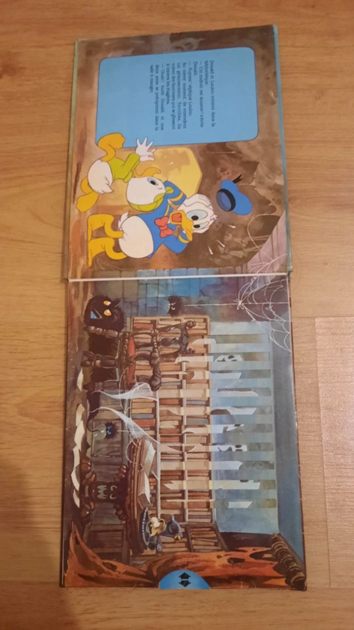 Donald et la maison hantée - photo numéro 4