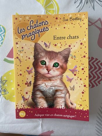 Livre les chatons magiques entre chats.