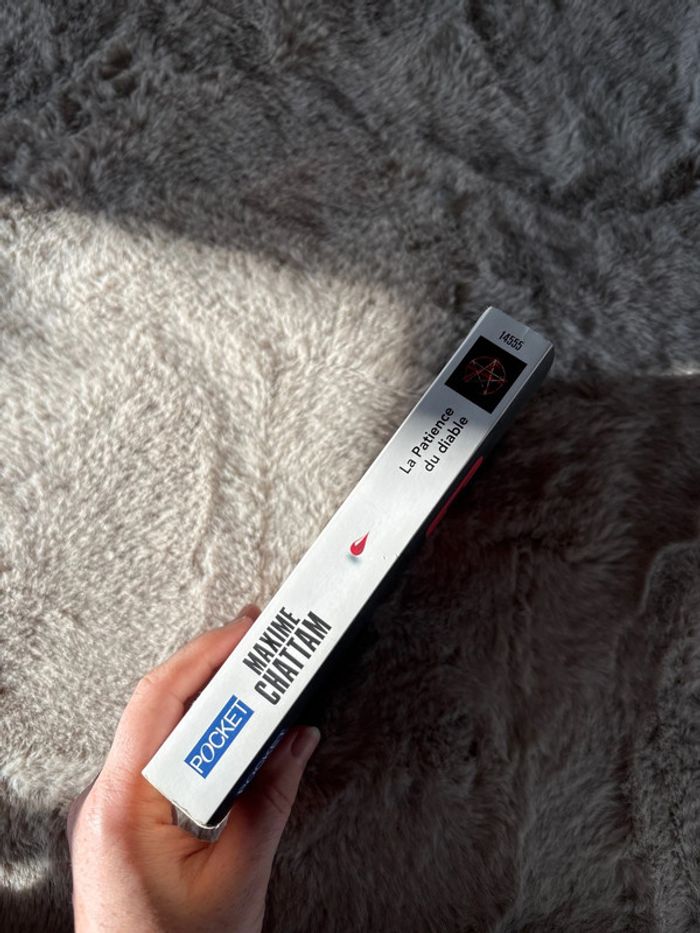La patience du diable livre - photo numéro 3