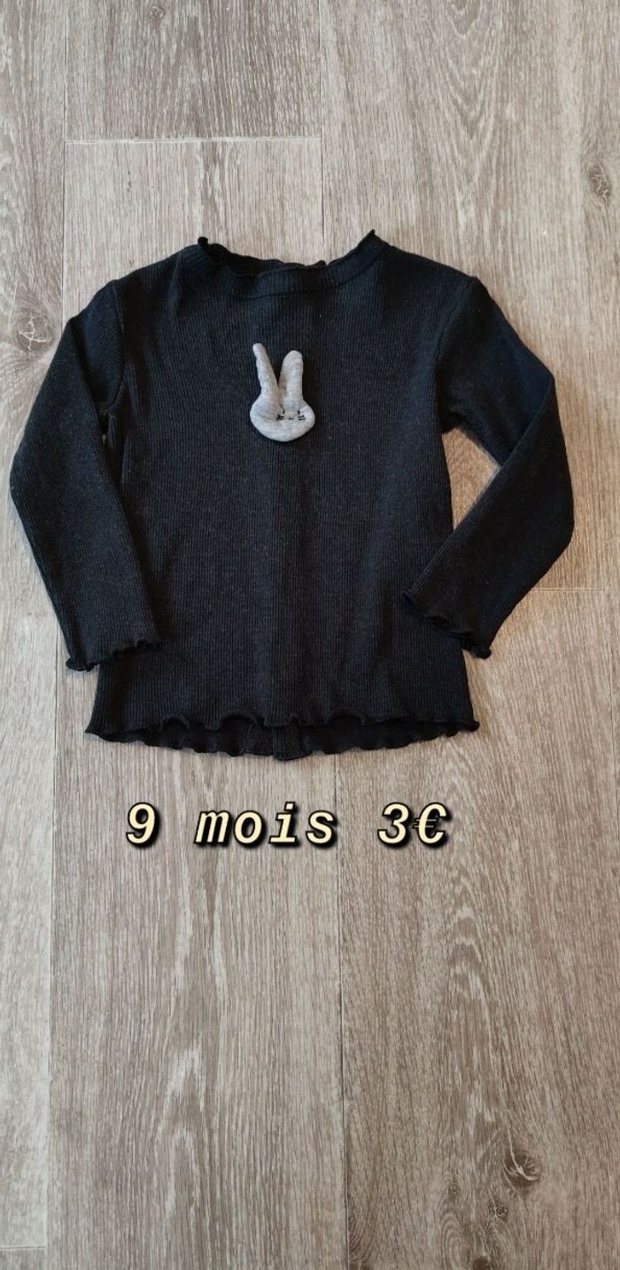 Vend des vêtements fille 9 mois - photo numéro 10