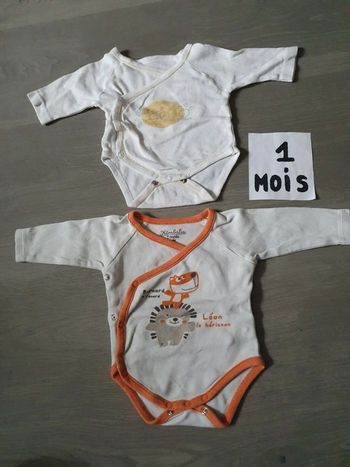 Lot bodies 1mois
