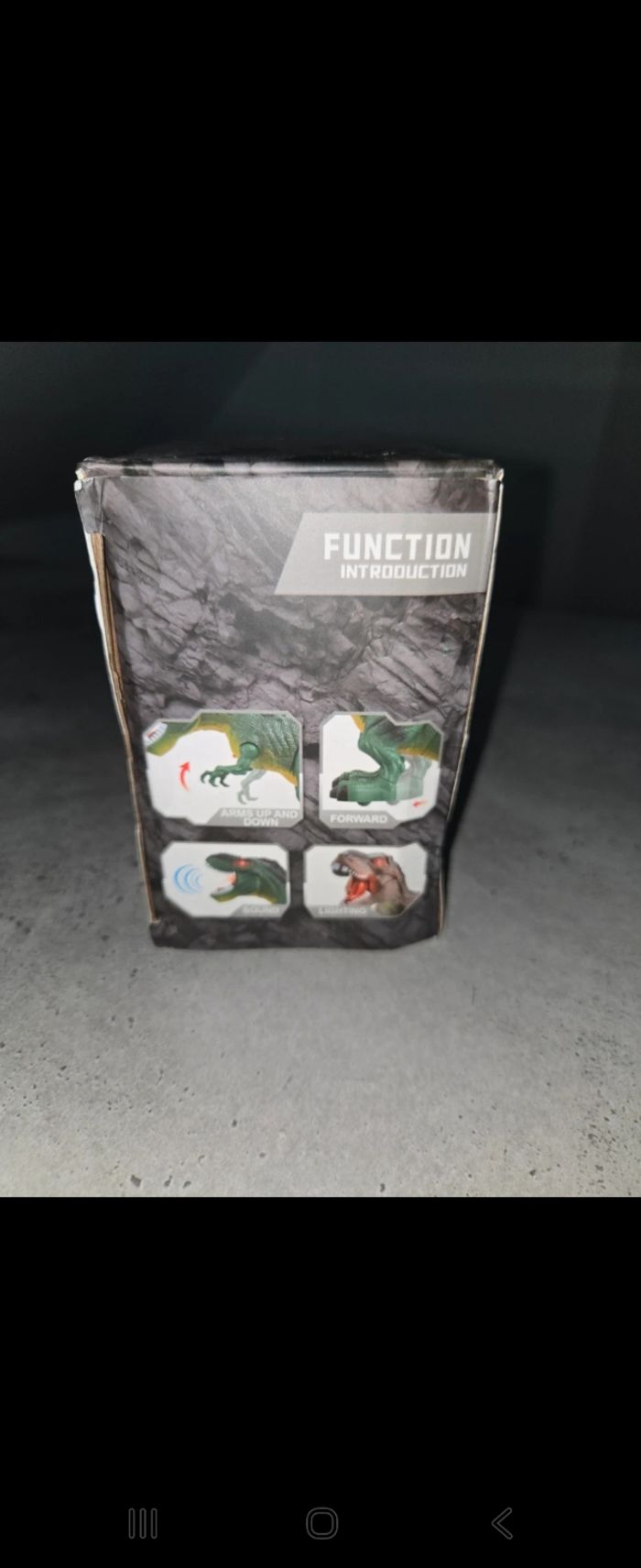 Dinosaure sonore - photo numéro 4