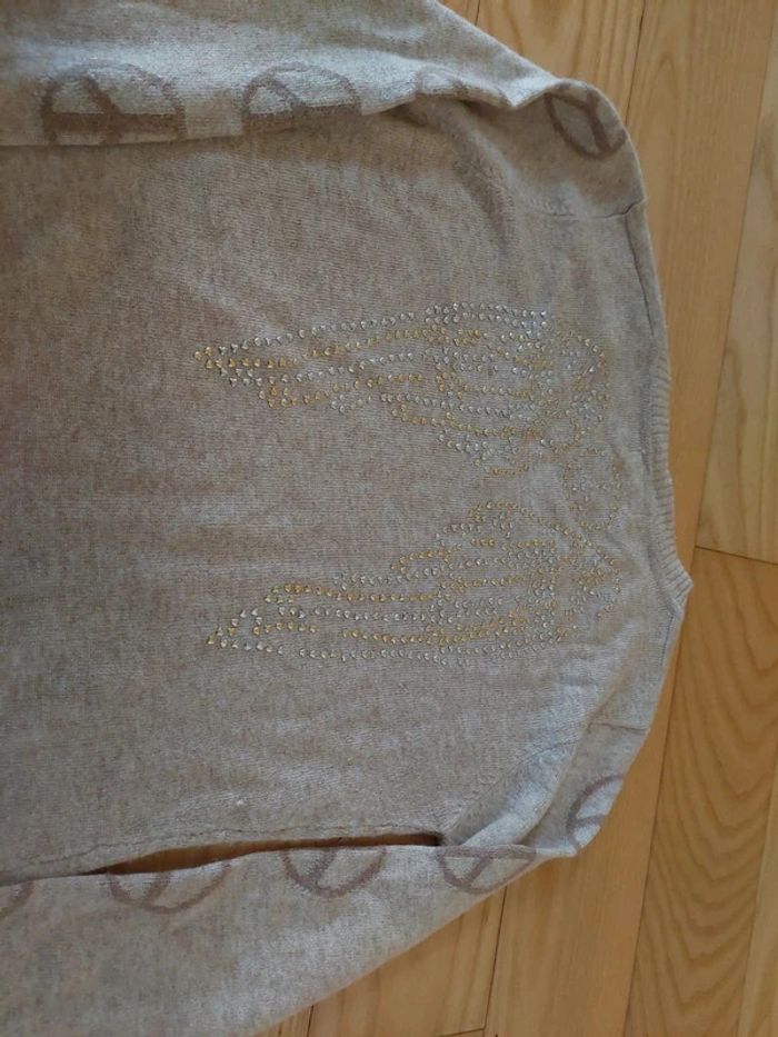 Pull beige strass ailes dans le dos via code