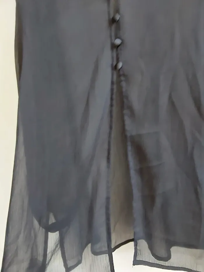 Chemise transparente Daxon - photo numéro 3