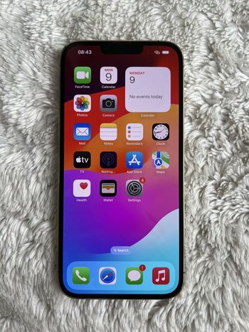 Une iphone treize pro max