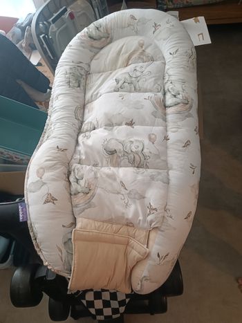 Réducteur de lit bebe
