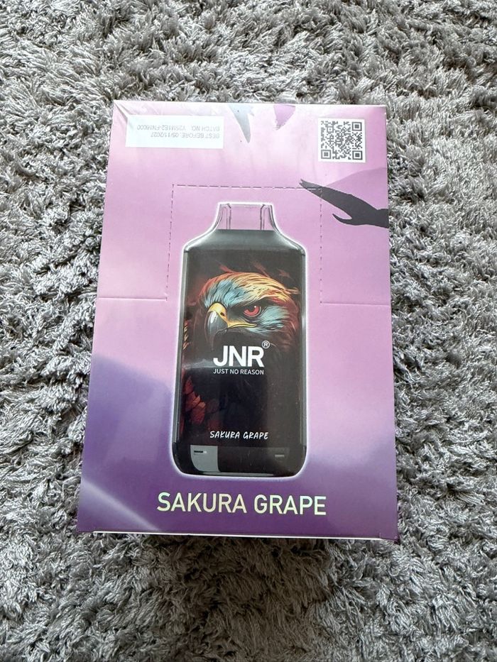 JNR 16k - photo numéro 10