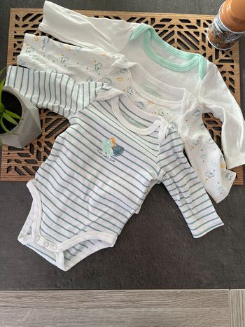 Bodies Sergent Major