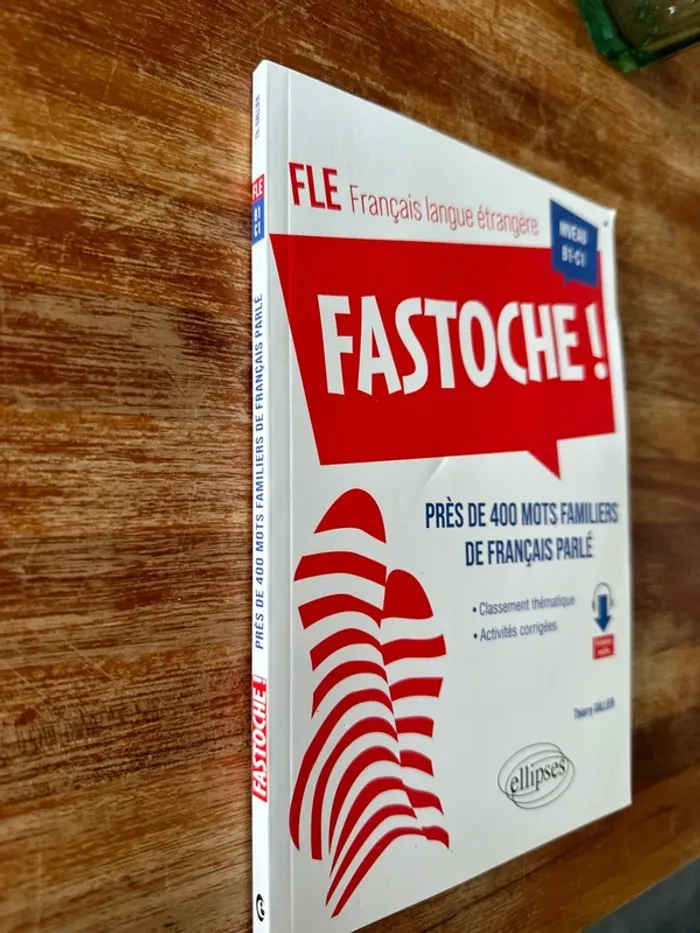Livre fastoche! Près de 400 mots familier de français parler - photo numéro 2