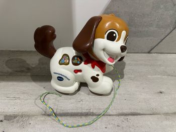 Chien à tirer
