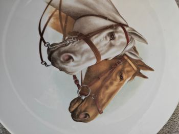 Assiette de collection