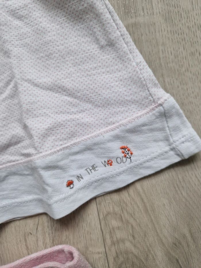 Ensemble Orchestra - photo numéro 5