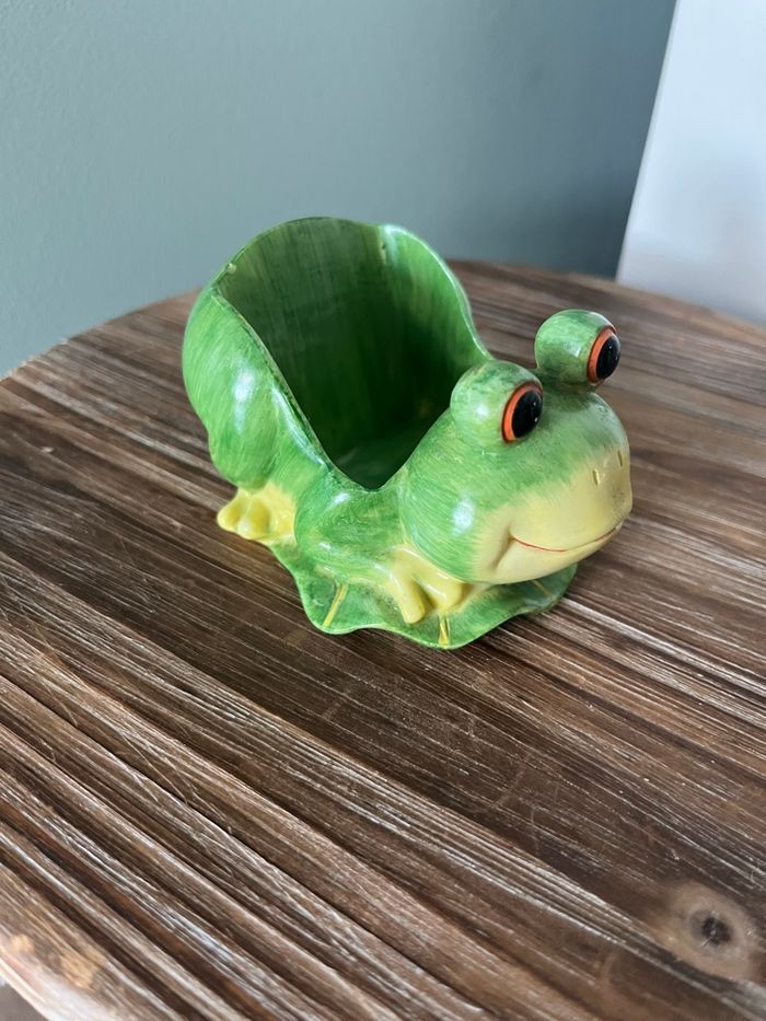 Grenouille 🐸 - photo numéro 2