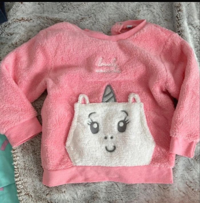 Pull polaire