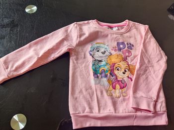Pull molletonné pat patrouille 3-4 ans