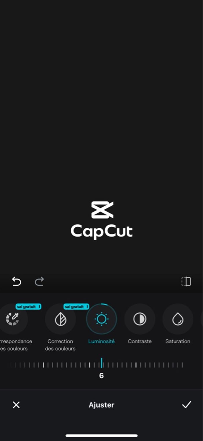 Pull marine Diplodocus taille 2 - photo numéro 6