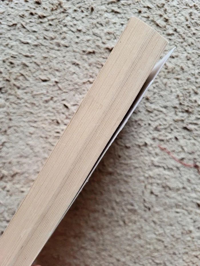 Livre L'inconnue de Blackheath d'Anne Perry - photo numéro 3