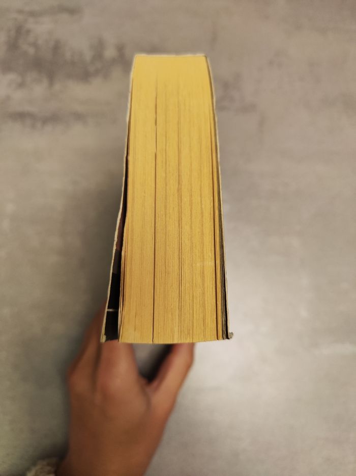 Livre les Faux Dieux - photo numéro 5