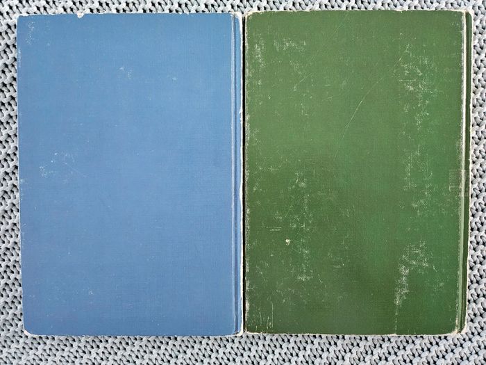 Lot Livres Club Disney - photo numéro 2